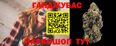дмт Будённовск