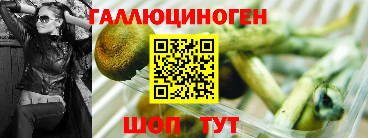 Галлюциногенные грибы Cubensis Комсомольск-на-Амуре